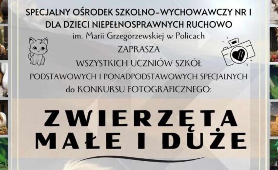 Konkurs fotograficzny. Zwierzęta małe i duże. Plakat informacyjny