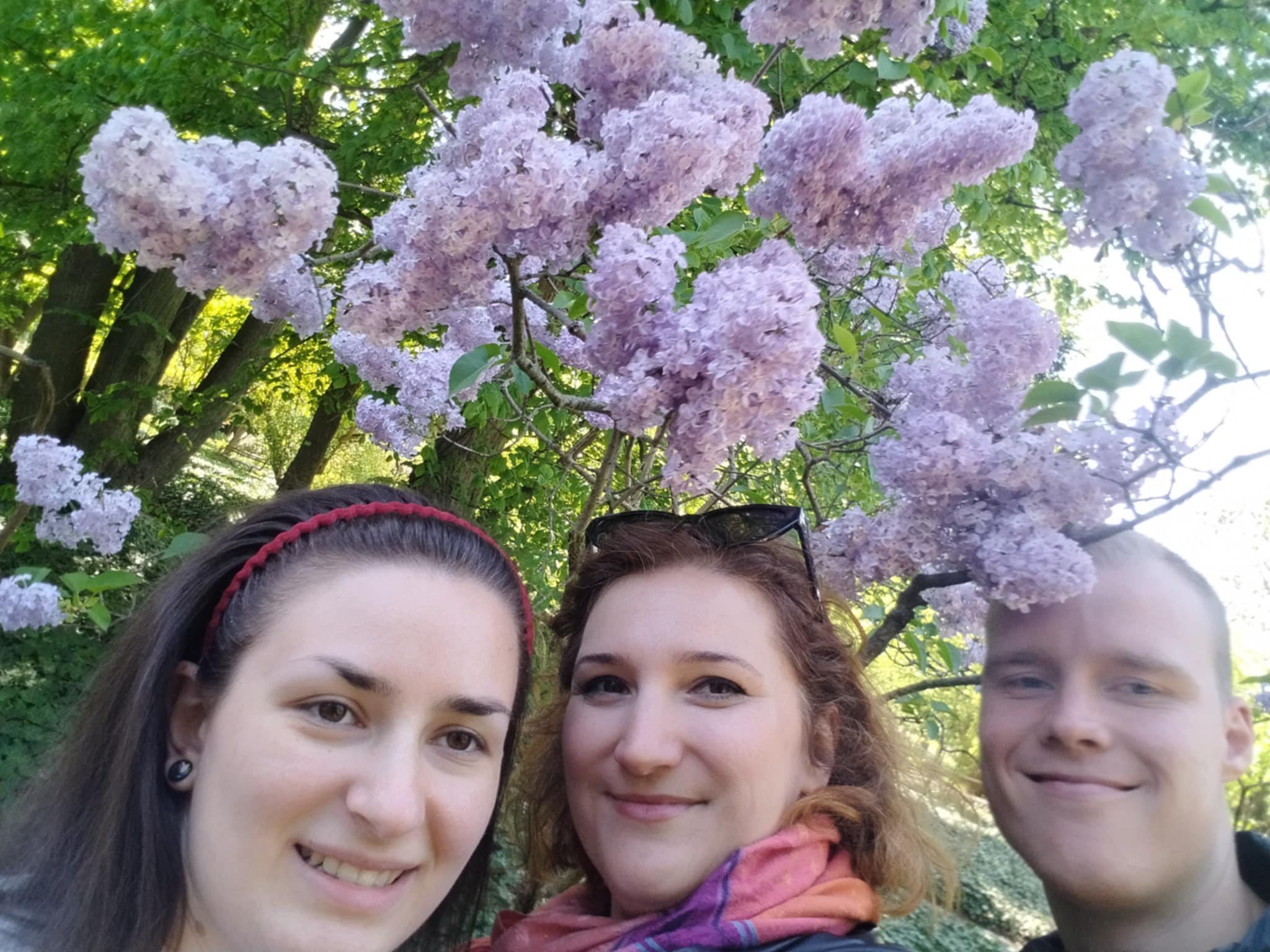 Wycieczka do Ogrodu Botanicznego. UAM. Lilie. Bzy.