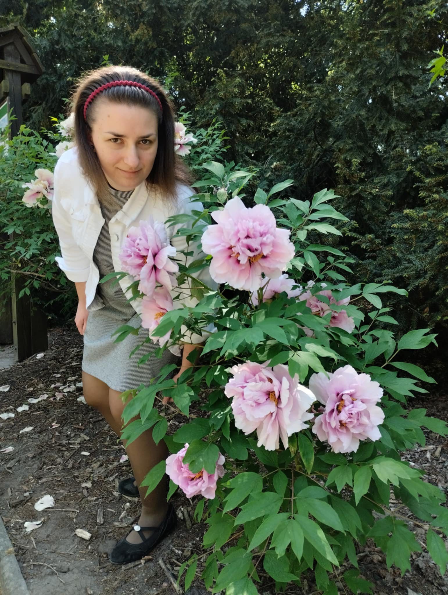 Wycieczka do Ogrodu Botanicznego. UAM. Lilie. Bzy.
