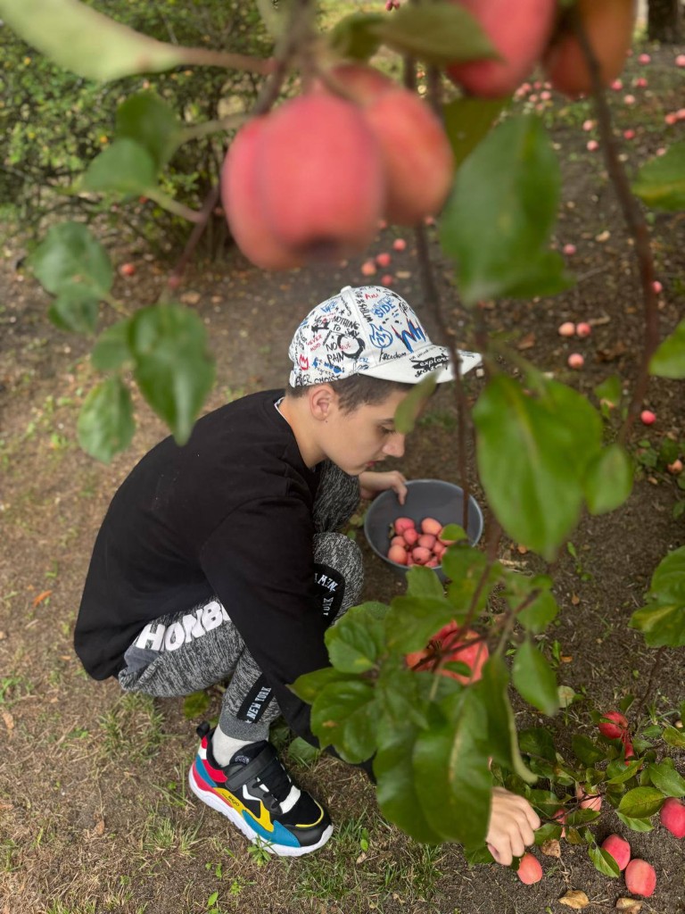 Dzień jabłka. 28 września.