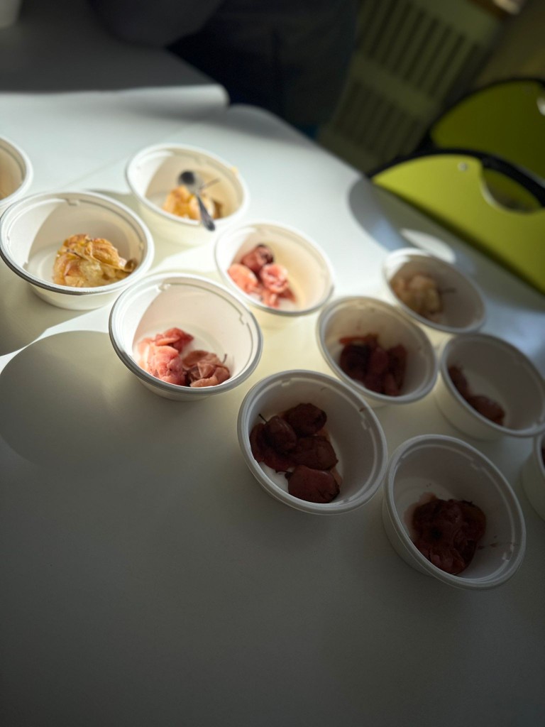 Dzień jabłka. 28 września.