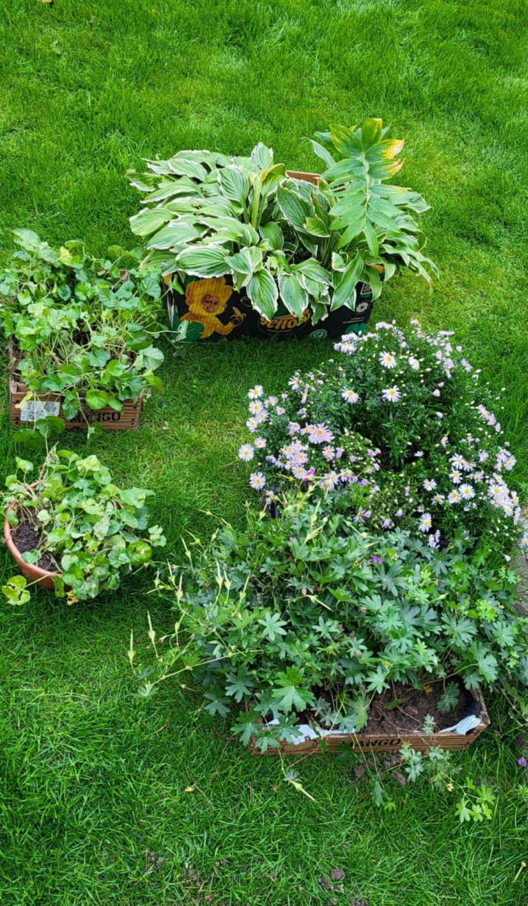 Rośliny. Ogród sensoryczny.