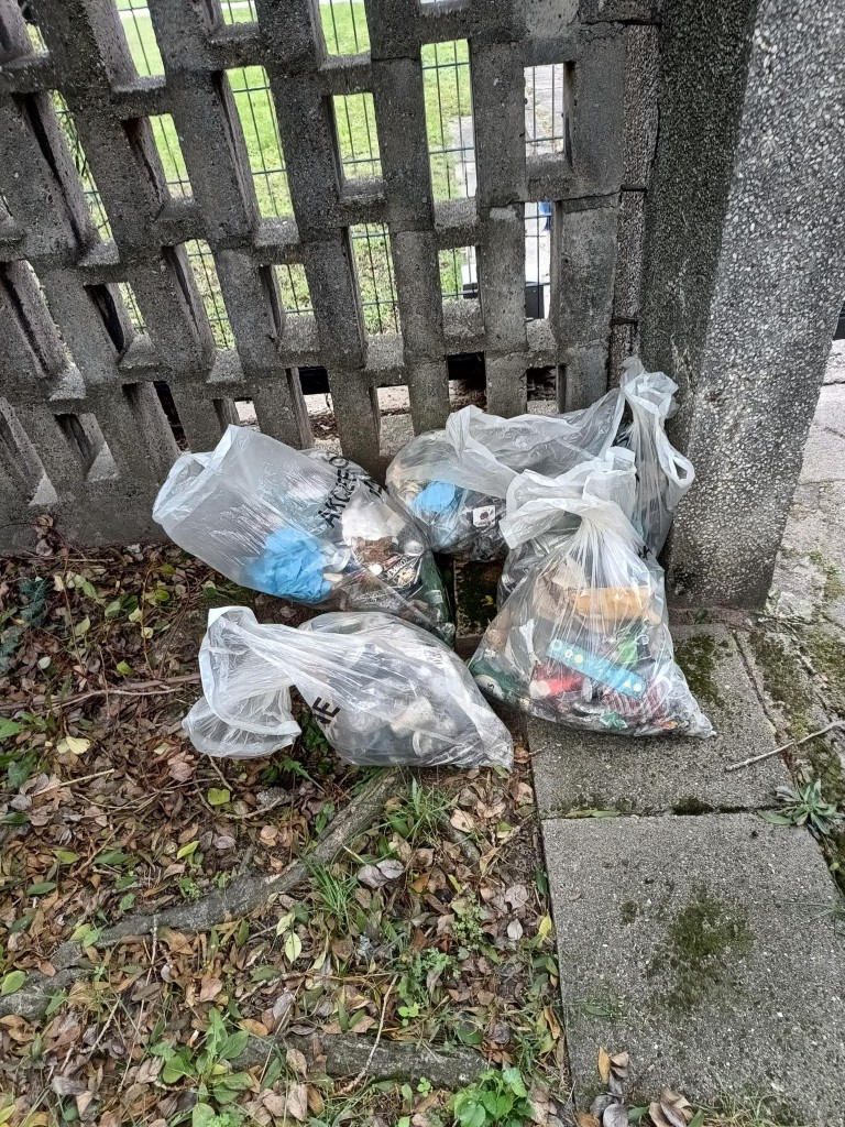 Sprzątanie Świata.