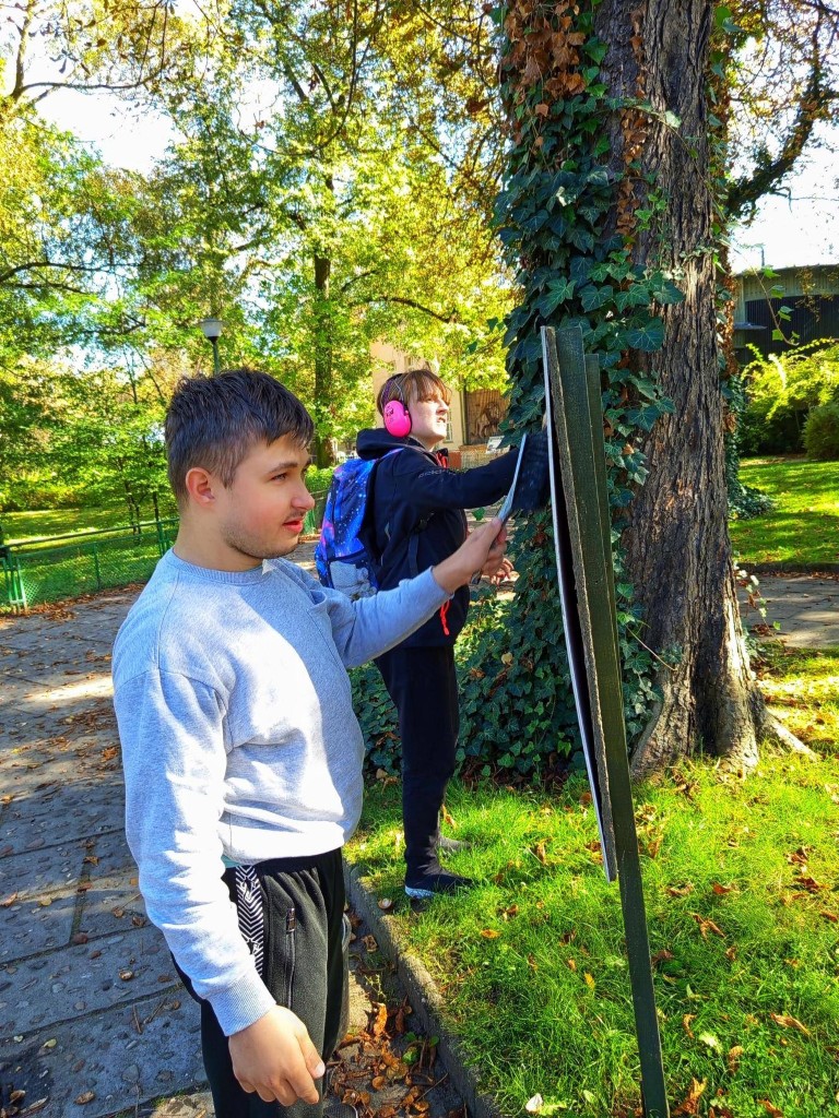 Wolontariat. Stare ZOO.