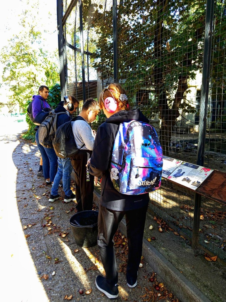 Wolontariat. Stare ZOO.