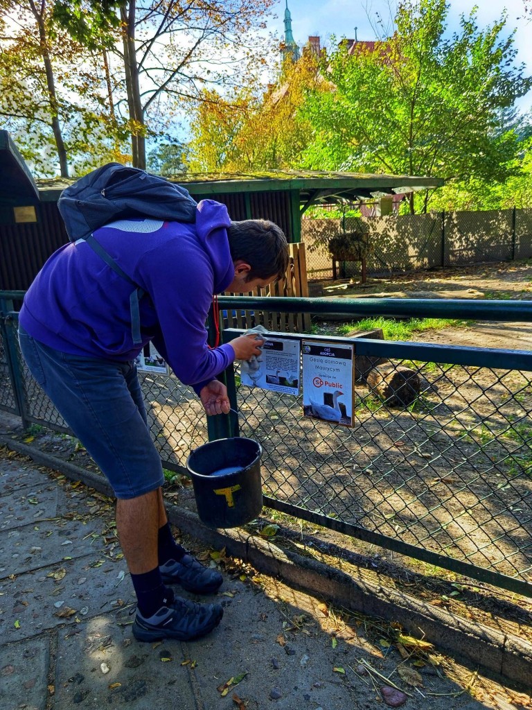 Wolontariat. Stare ZOO.