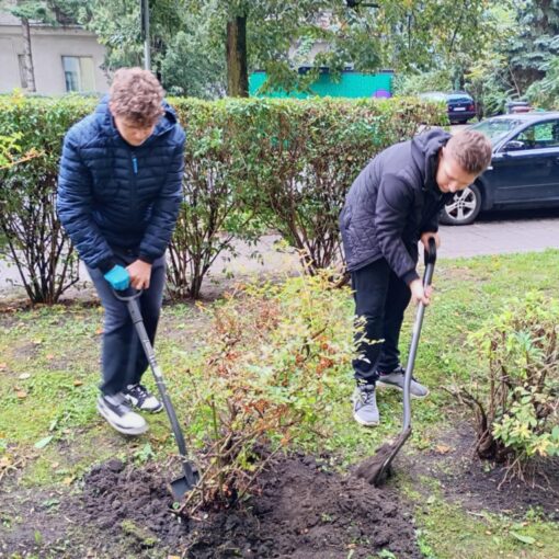 Ogrodnicy. Rośliny. Sadzenie.