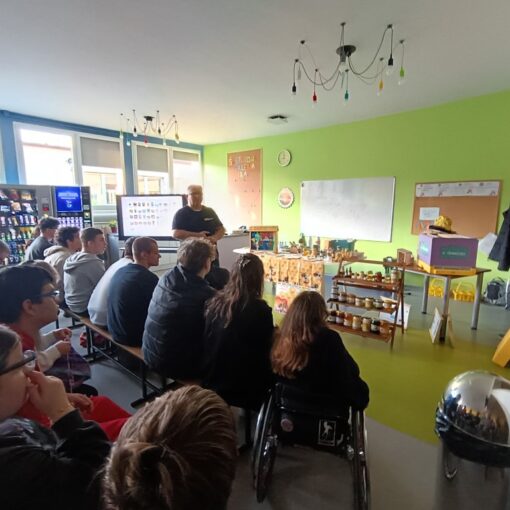 Tydzień zawodowców. Pszczoły. Miód.