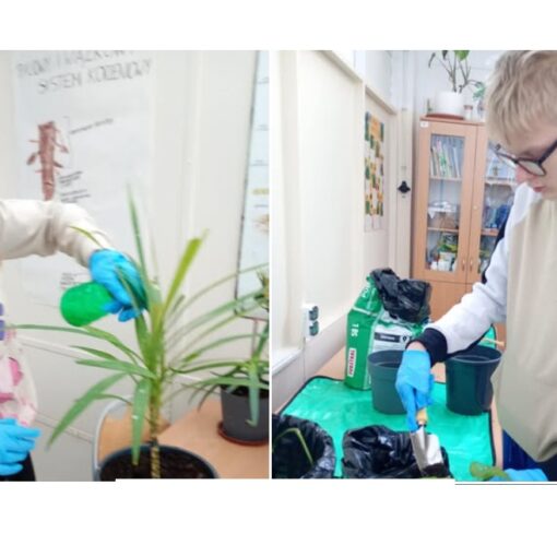 Ogrodnicy. Sadzenie. Pielęgnacja roślin.