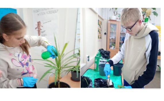 Ogrodnicy. Sadzenie. Pielęgnacja roślin.