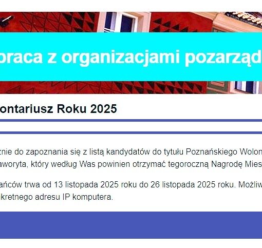 Wolontariusz Roku. Głosowanie. Plakat.