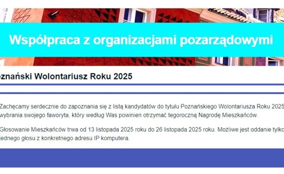 Wolontariusz Roku. Głosowanie. Plakat.