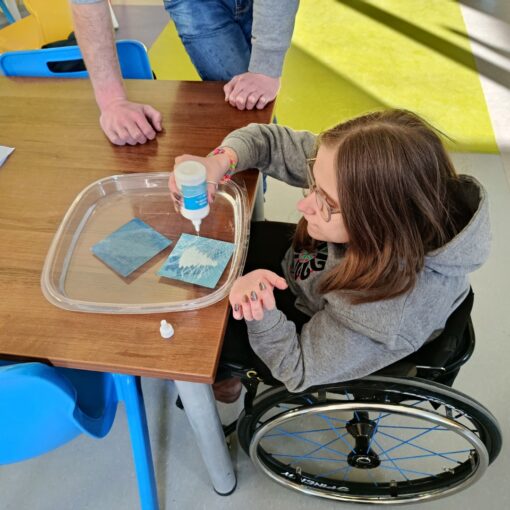 Cyjanotypia. Szkoła Policealna.